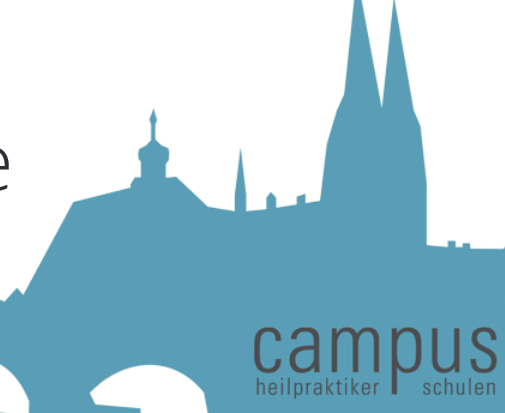 Heilpraktiker Onlinekurs